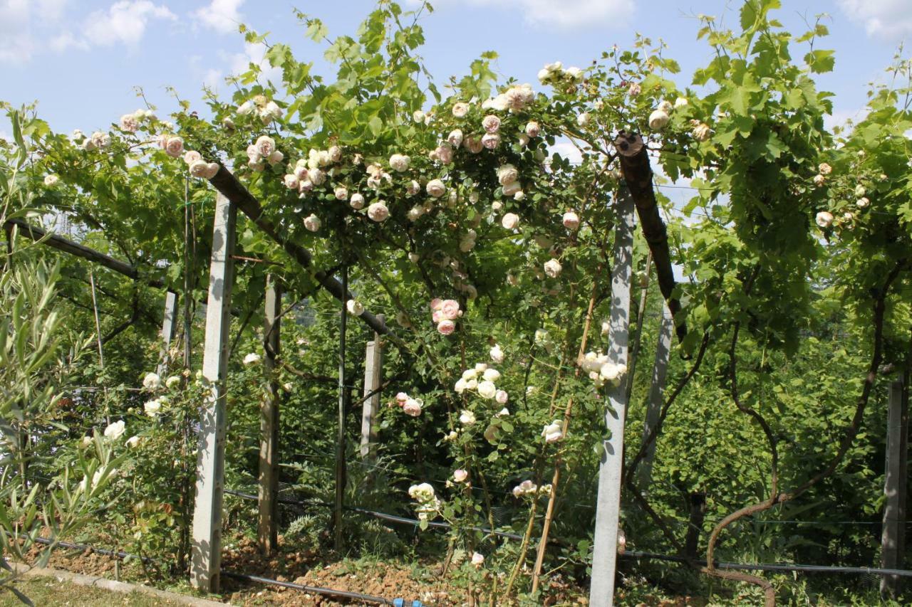 Holiday Home Villa Bobolino 蒙特鲁朴·菲奥伦蒂诺 外观 照片